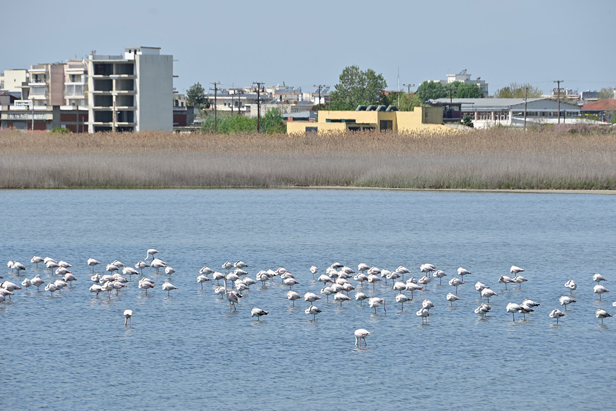 National Park Delta Axios