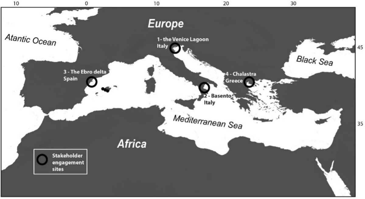 results publication1