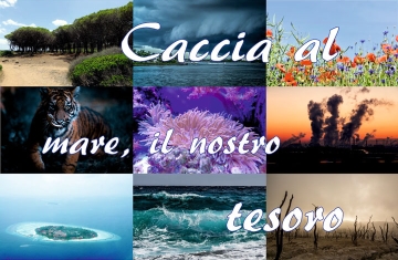 La caccia al tesoro 